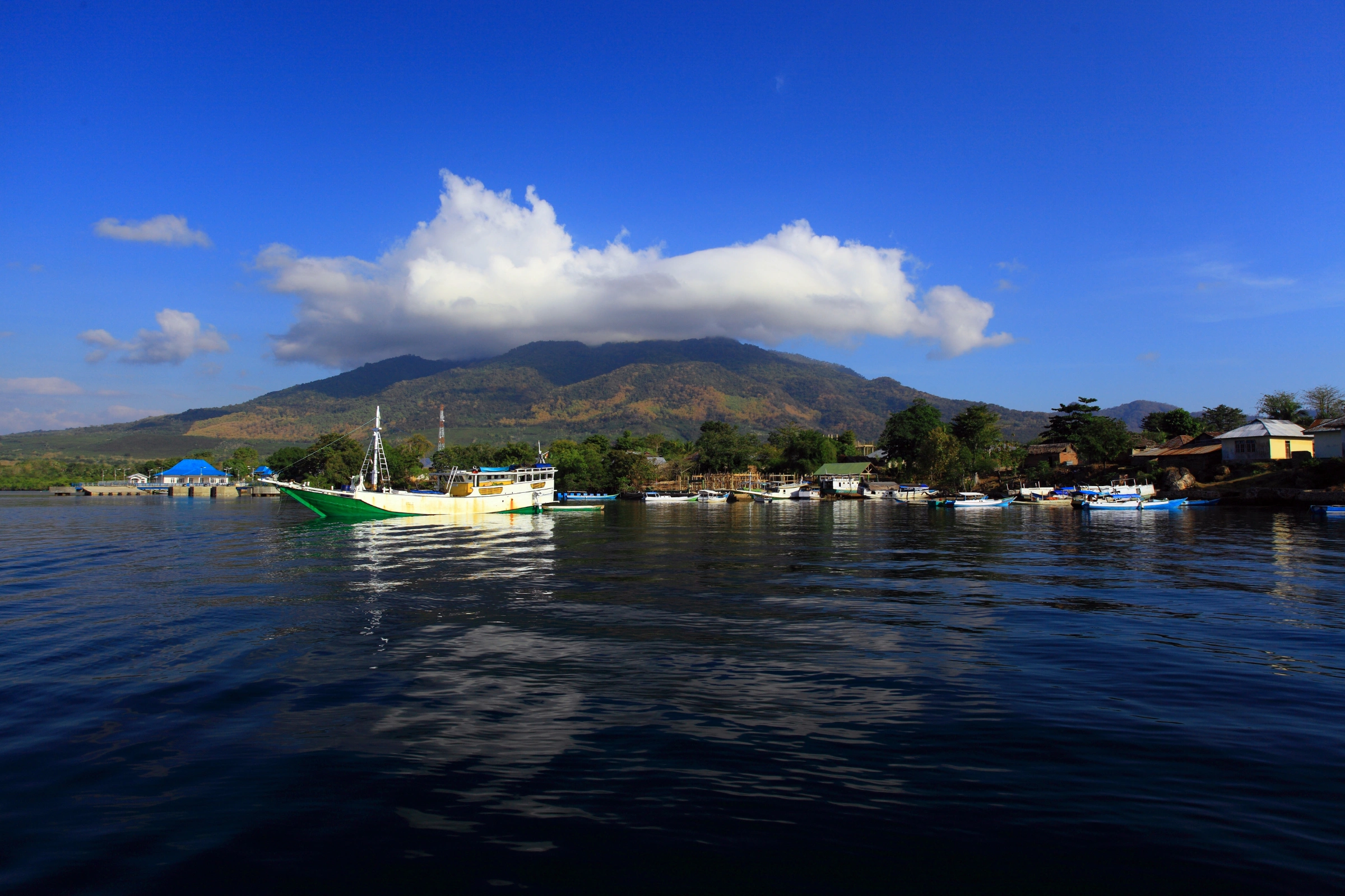 Alor_Island,_Alor_Archipelago[1].webp